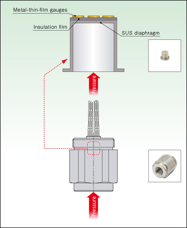 Structural schematics for Thin-film type pressure sensors