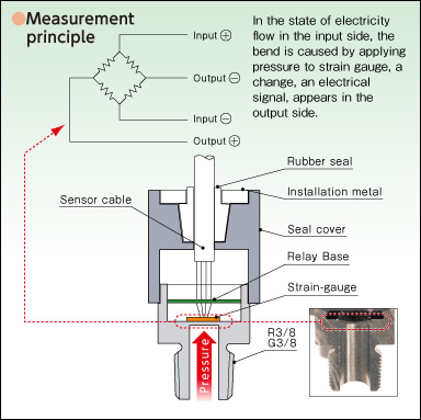 Structural schematics for Strain gauge pressure sensors