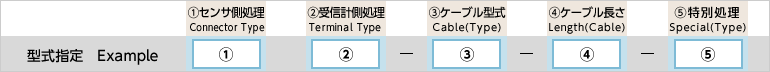 型式指定例