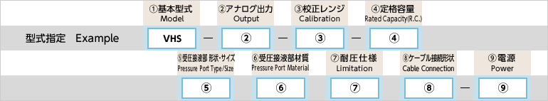 型式指定例