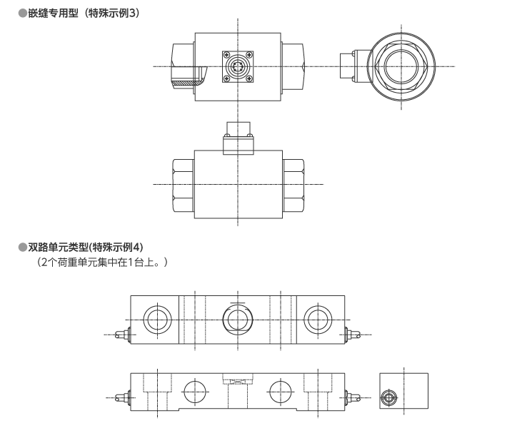 特殊订货荷重计参考示例2