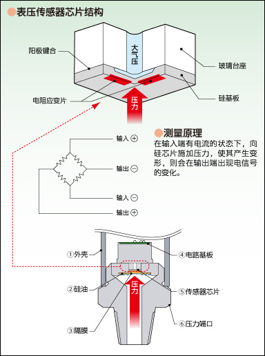 表压传感器芯片结构