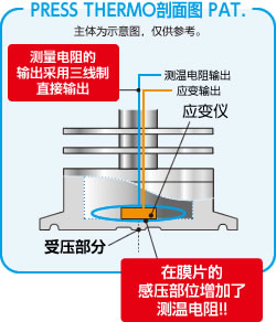 断面図